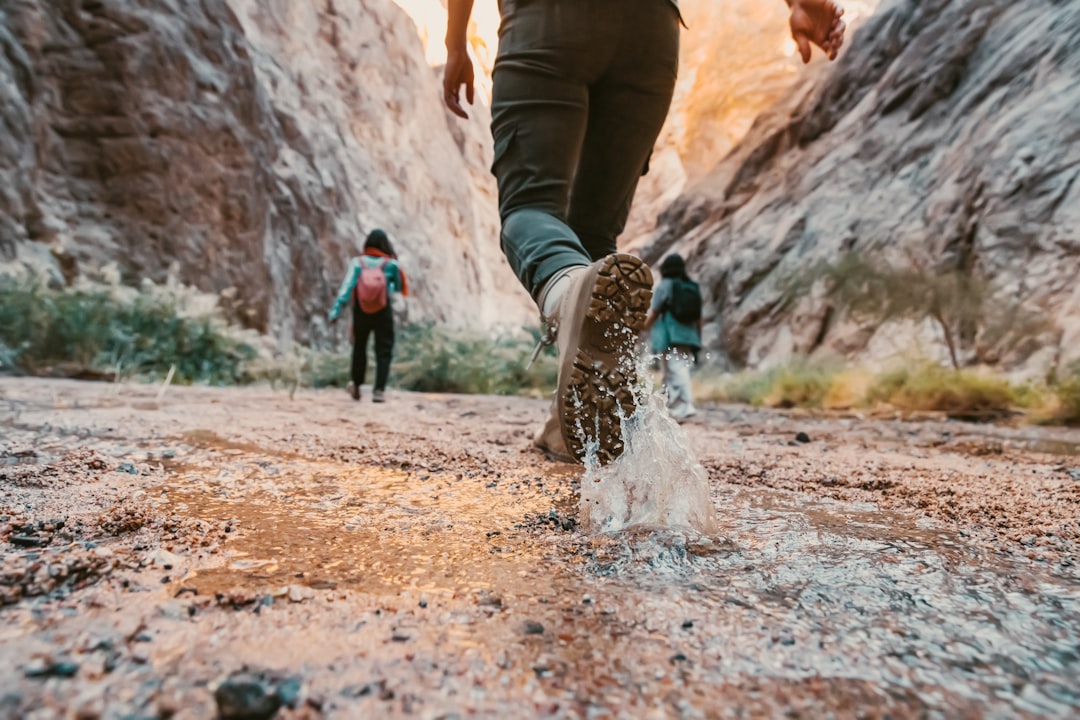 Nederland trekking: ontdek de mooiste wandelroutes in eigen land