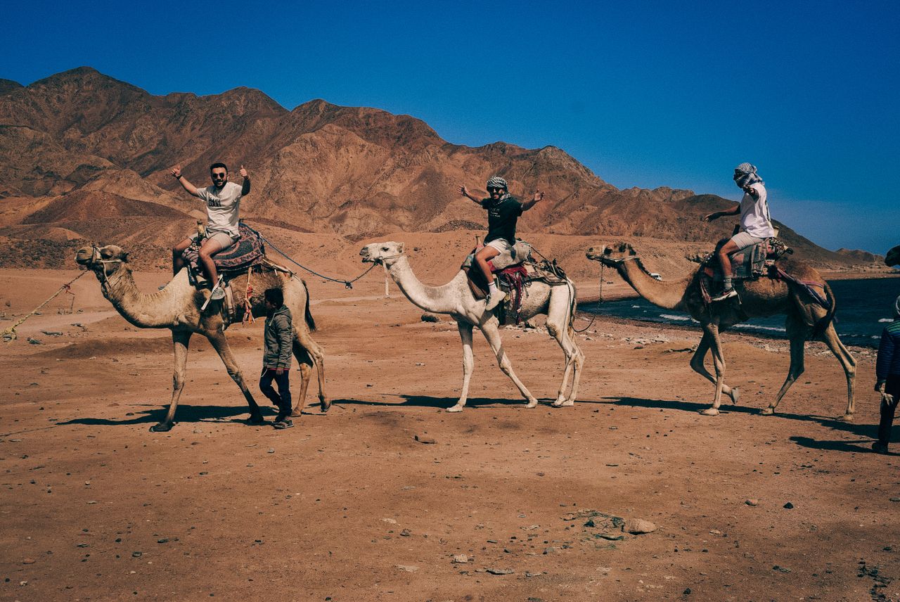 Een reis door Egypte waarbij elke stop een nieuwe gezinsbeleving brengt